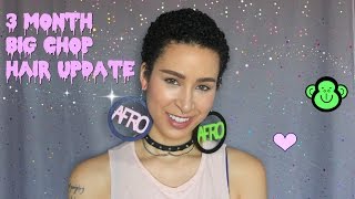 3 Month Big Chop Update | TWA | 3B/3C Hair