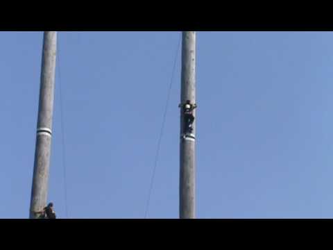 80 ft world championship Tree Climb - Stirling Hart
