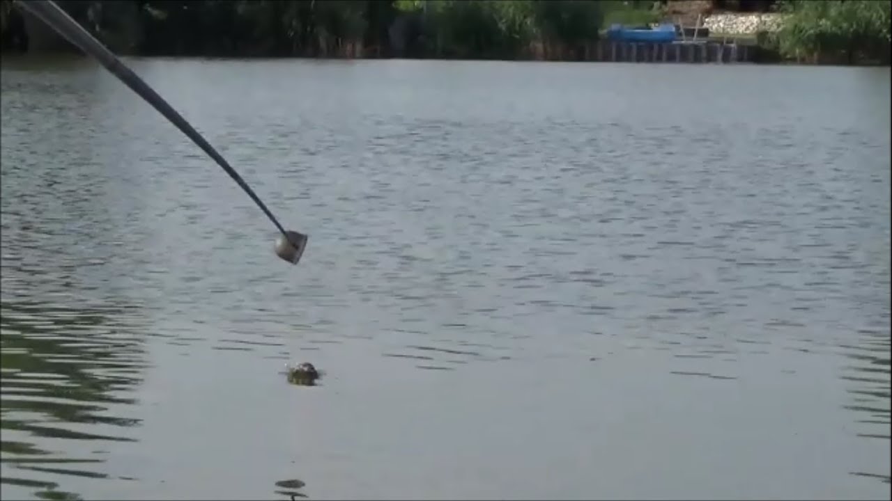 Pecázz Viktorral - Rakósbotos horgászat