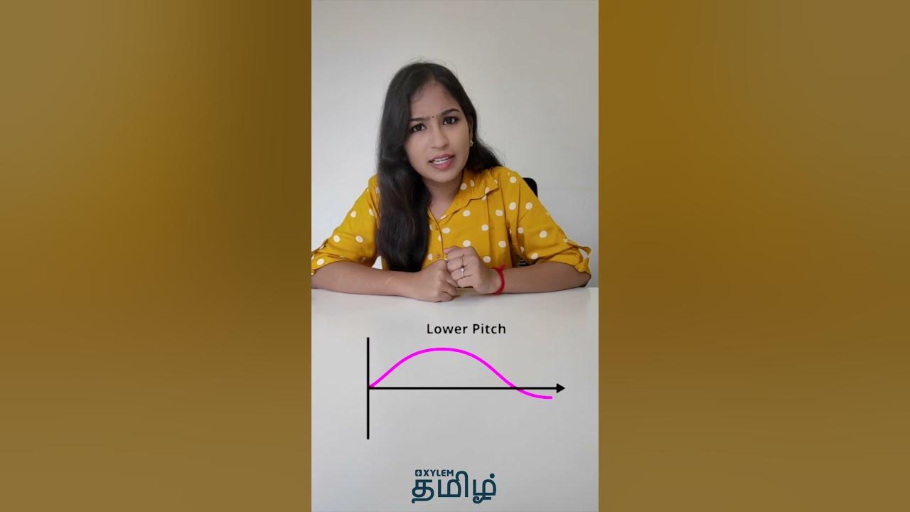 What Is High Pitch And Low Pitch Xylem NEET Tamil YouTube what-is-high-pitch-and-low-pitch-xylem-neet-tamil-youtube