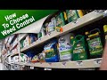 How To Choose The Right Weed Control for Your Lawn with Allyn Hane The Lawn Care Nut