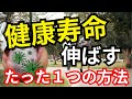 口の中を〇〇するだけで寿命が延びる！？誰でも簡単にできる方法って？