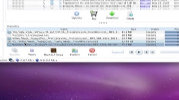 FrostWire 5 How To Search