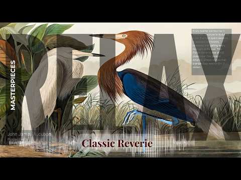 Relax - Classic Reverie with Old Masters | James Audubon · Purple Heron & others