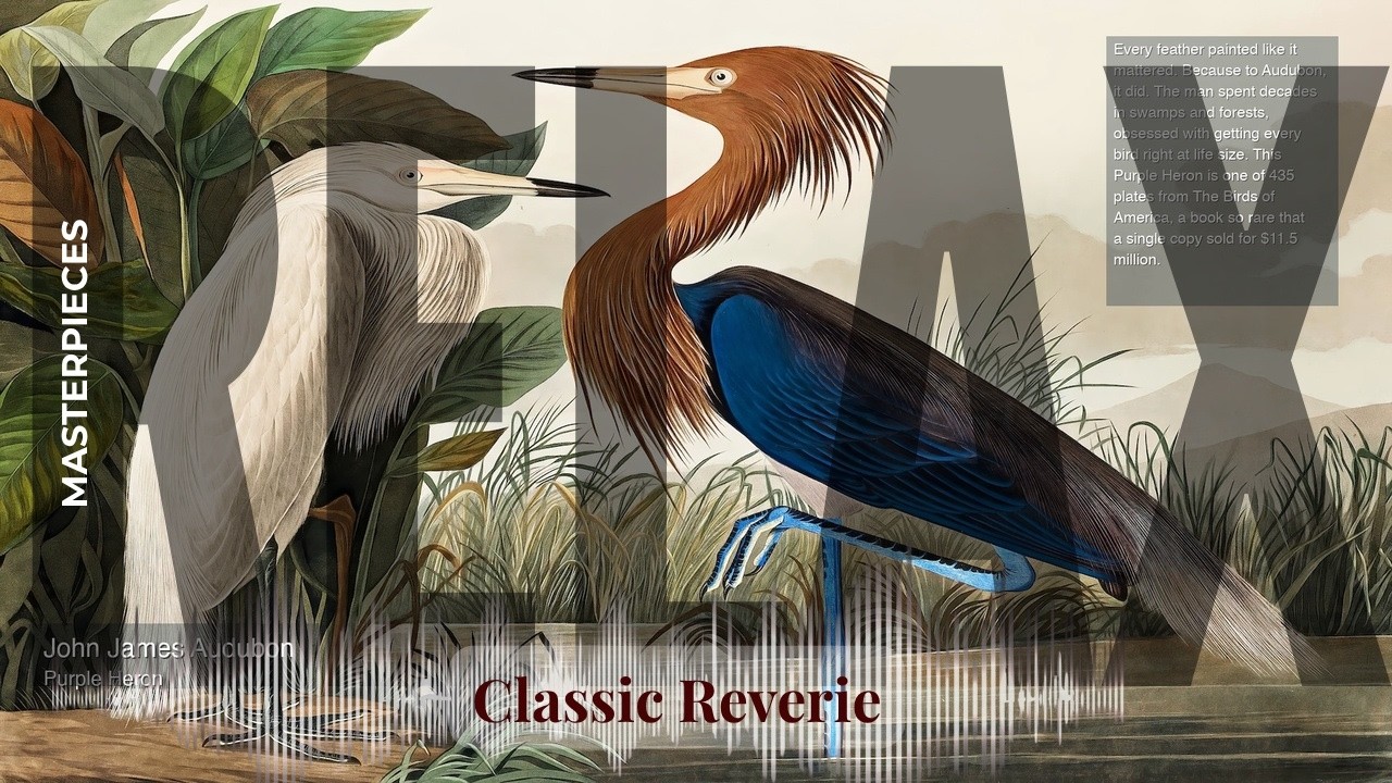 Relax - Classic Reverie with Old Masters | James Audubon · Purple Heron & others