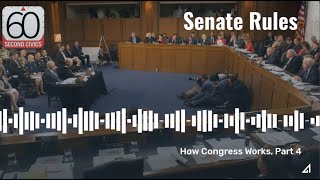 Senate Rules: How Congress Works, Part 4