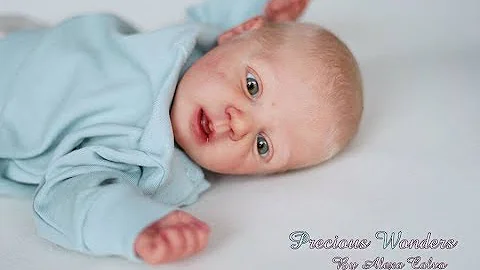 Noah by Linda Scherer