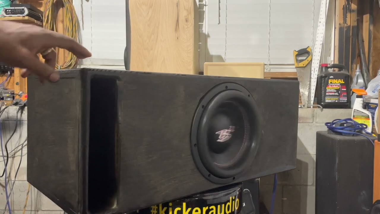 B2 Audio Riot 10” Subwoofer…More of 