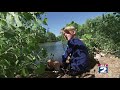 Fishing Tule Springs