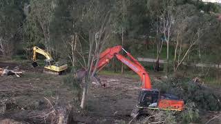 Accurate Case Studies Bayport Lilydale