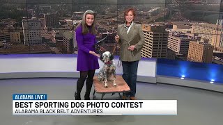 Alabama Black Belt Adventures holding sporting dog photo contest
