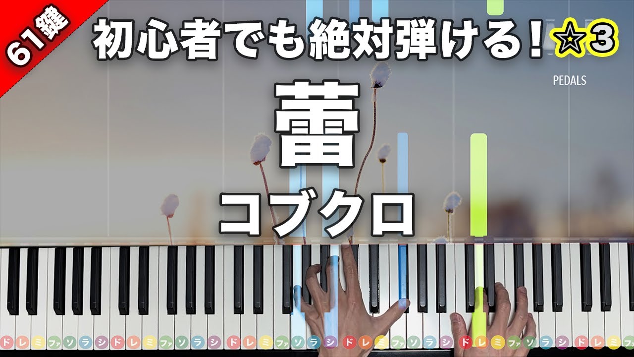 「蕾」コブクロ【初心者でも絶対弾ける！ピアノの弾き方】☆3