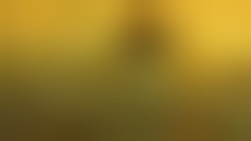 What using SCROG can produce!