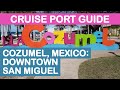 Cozumel, Mexico Cruise Port Guide: Downtown San Miguel (Punta Langosta)