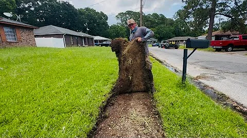 They haven’t SEEN this SIDEWALK in YEARS