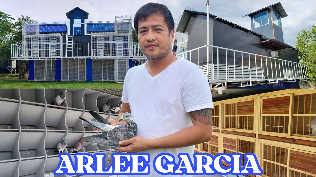 NEWBIE FANCIER NG PORAC PAMPANGA |  ARLEE GARCIA | TAIWAN LOFT | MADE BY MHARK AGUILUZ LOFT MAKER