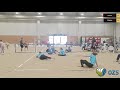 Ljubljana 2025 M: Zenica (BIH) - Ludus (SLO)