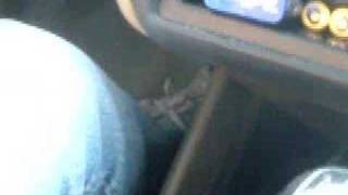 Not A Smooth Ride...