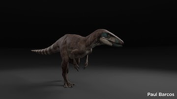 Lightning Claw/Rapator Dinosaur Walking