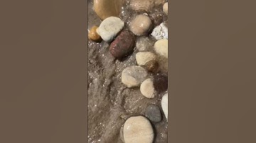 Perfect Ancient Sea Fossil | Chain Coral 🪸🪨