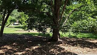 Weekends, Harsh Realities, Letting Go Of Things.