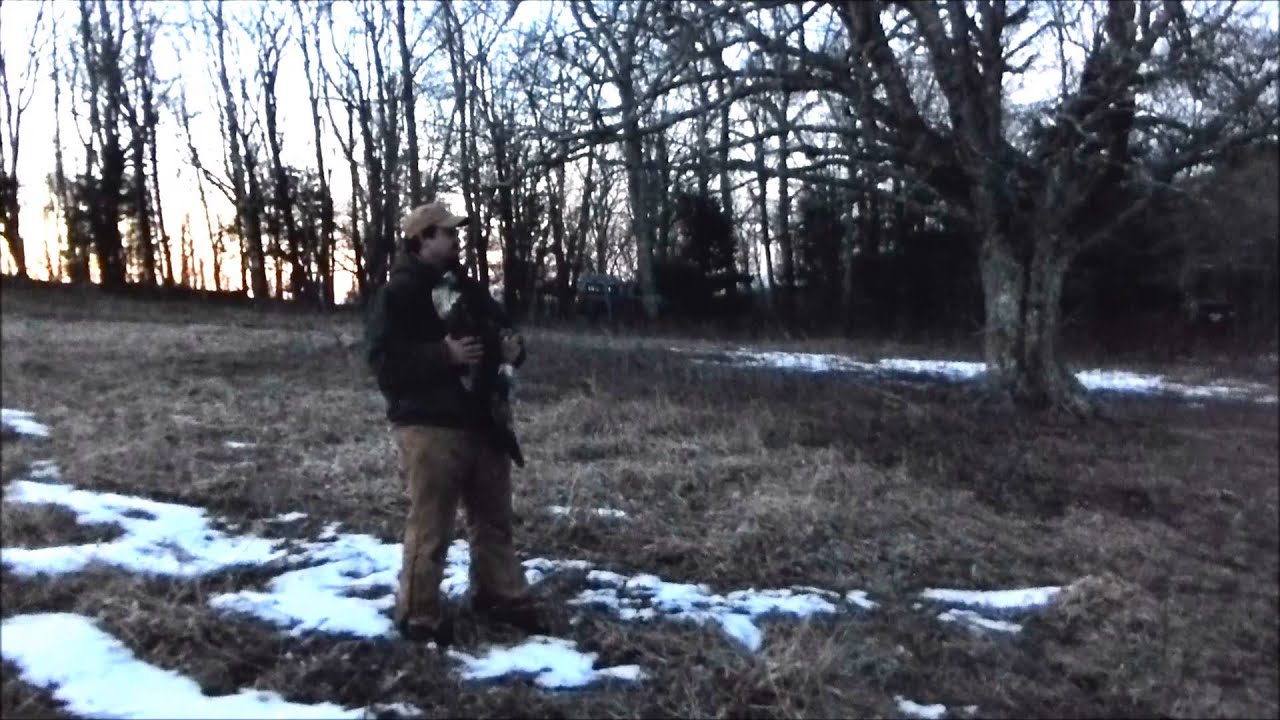 law enforcement today Golden Eagle Release in NC