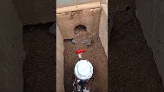 video reacción para que pongan cuidado dónde meten sus manos #funny
