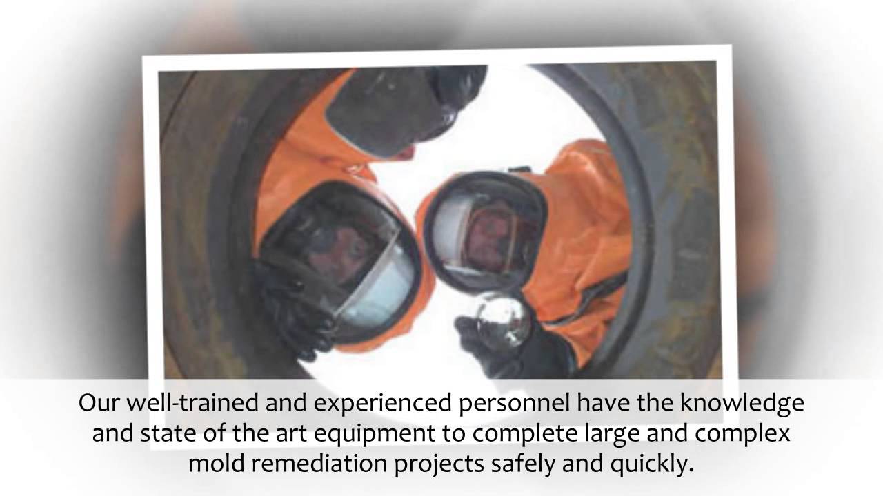 Phoenix AZ Mold Removal & Remediation Services | Arizona Asbestos Removal