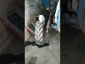 кот отказался делать трактор