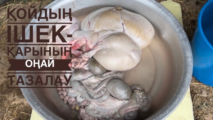 Саратов веб-камера секс Әйелдер секс Одесса