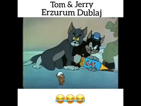 tom ve Jerry Erzurum  dublaj jk