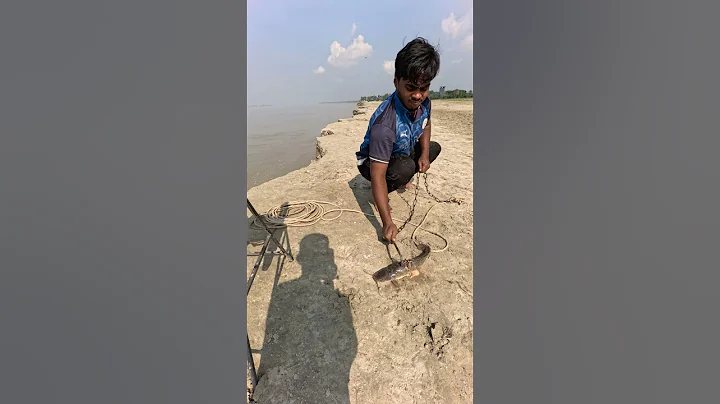 Awesome fishing style with throwing catfish bait  #fishinglife  #hook  #bait