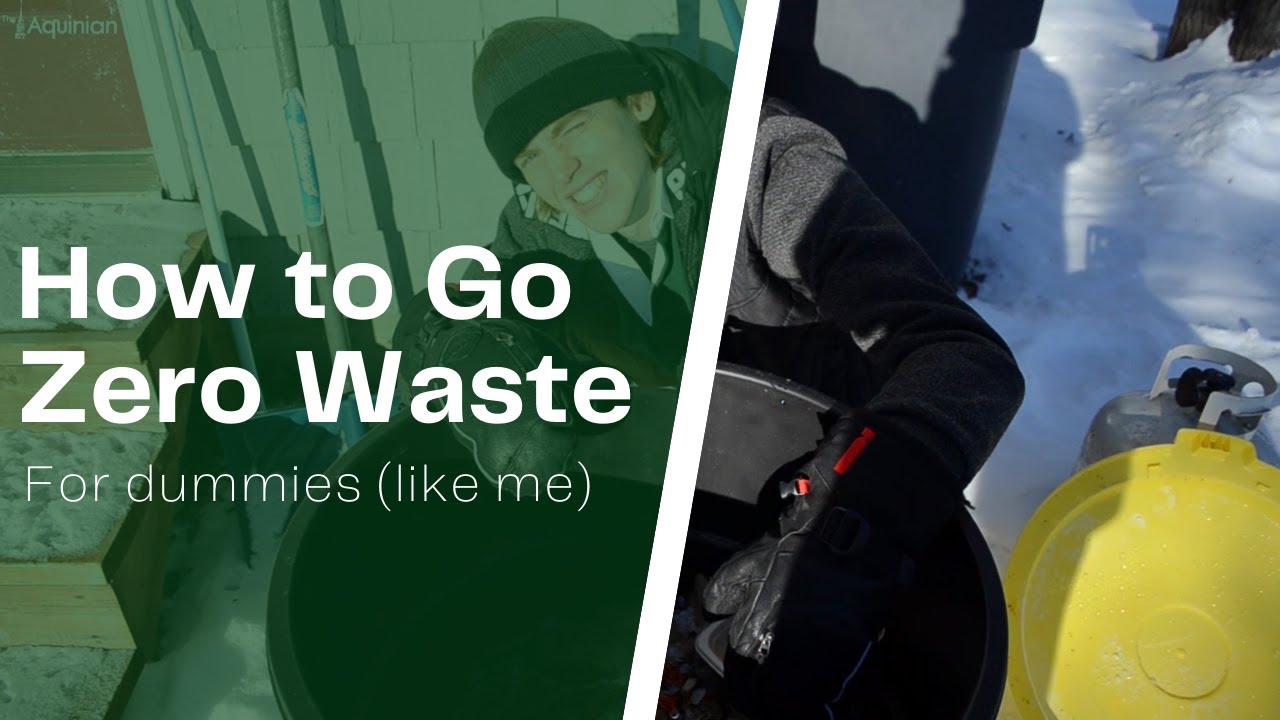 How to go zero waste for dummies (like me)