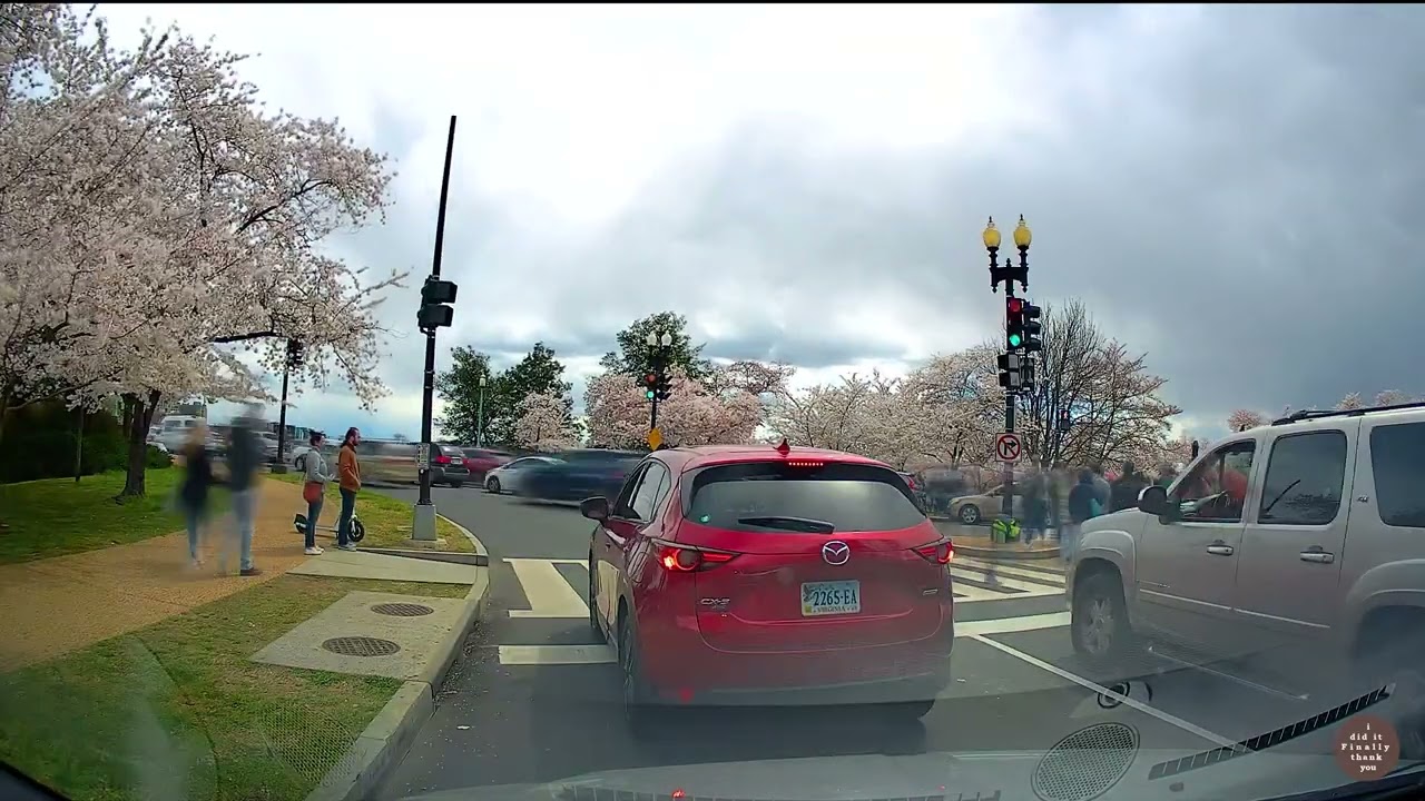 [4K] 10 minute Time Warp - Fredericksburg Virginia to Washington DC Cherry Blossom - Virtual Drive