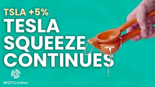 Tesla (TSLA) SuperSqueeze Update | SpotGamma