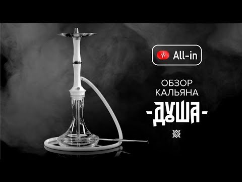 All - in / Белая "Душа" / обзор