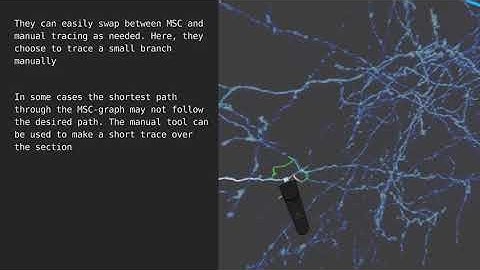 Improving the Usability of Virtual Reality Neuron Tracing with Topological Elements