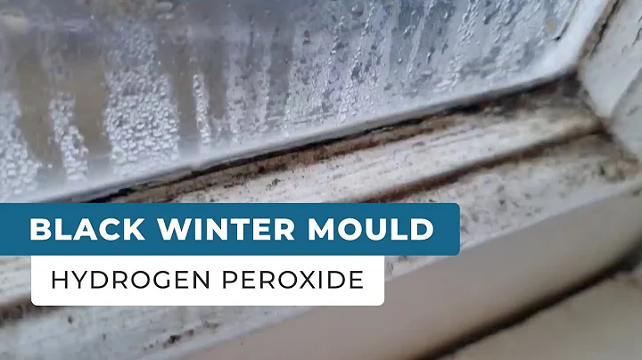 Remove Black Mould From Windows