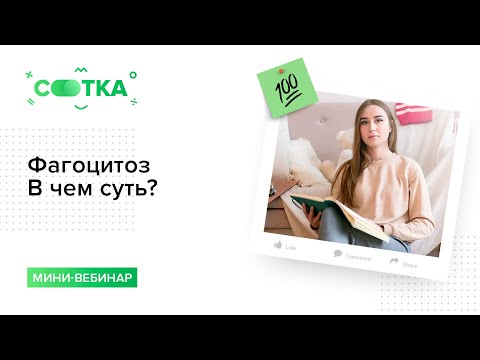 Фагоцитоз. В чем суть? | БИОЛОГИЯ ЕГЭ | СОТКА