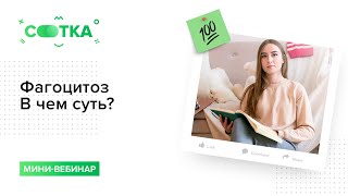 Фагоцитоз. В чем суть? | БИОЛОГИЯ ЕГЭ | СОТКА