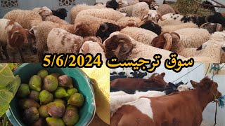 السوق الأسبوعي الأربعاء ترجيست 5/6/2024 ثمن الحولي العيد الأضحى غالي.. نواحي الحسيمة