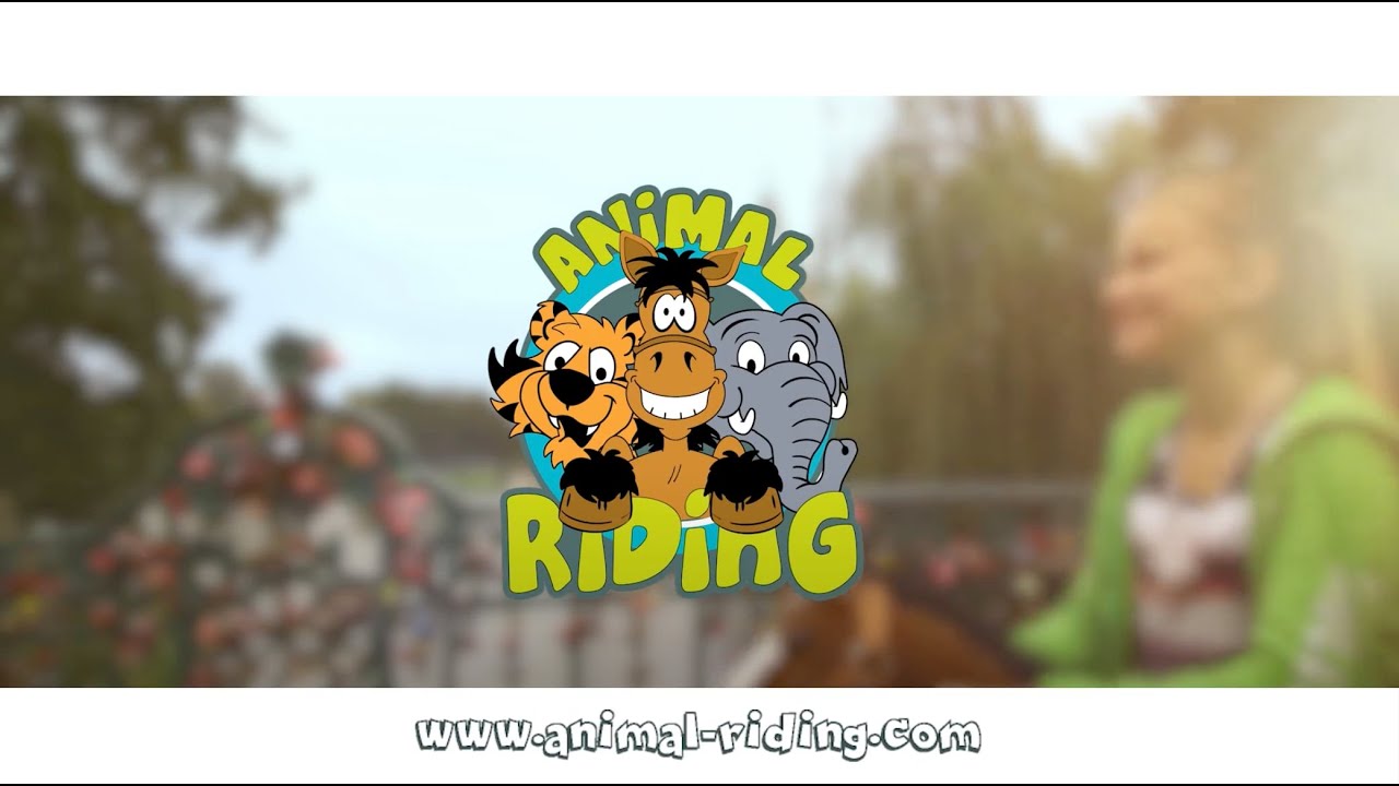 Animal Riding - YouTube