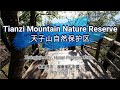 🌏218🌏 [Tianzi Mountain Nature Reserve] [天子山自然保护区]