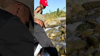 Pesca de río, usando Chacalmata.