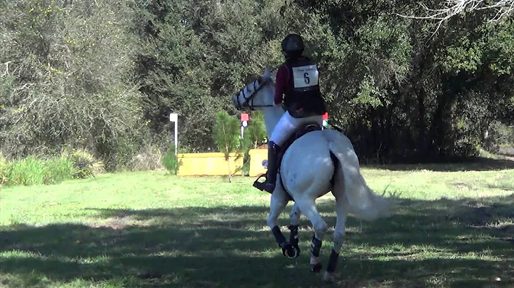 Ellen Truitt "Grand Traverse" Three Lakes Horse Tr...