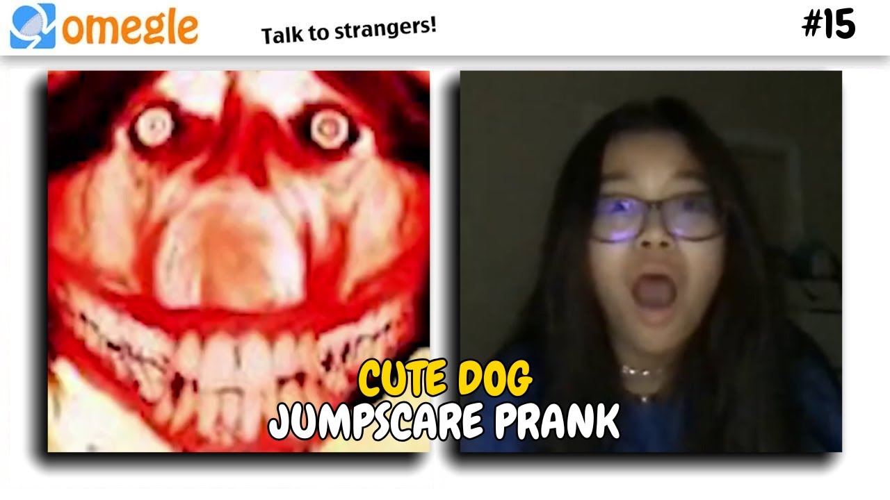CUTE DOG SCARE PRANK on OMEGLE!! #15