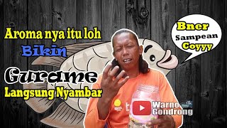 Effective bait for wild gourami // Daily gourami pond || Natural bait for gourami fish