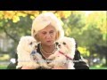 Dogfidelity  france 2 cest au programme  060116