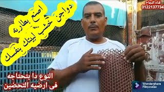 بطاريات دواجن ،كيف تصنع بطاريه للدواجن من الخشب بأقل التكاليف ،بطاريات دواجن، اخوكم محمد المصرى