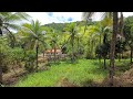 🌿🌾VENDO SÍTIO 3 ALQUEIRES CORREGO NASCENTES REPRESA TEÓFILO OTONI-MG 